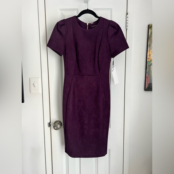 🆕 Calvin Klein Suede Dress, Knee Length, Size 2 - Picture 3 of 8